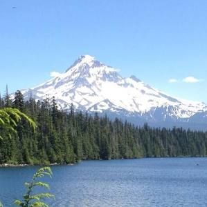 Meet your Posher, Terryann